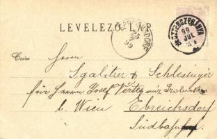 1899 (Vorläufer!) Besztercebánya, Banská Bystrica; Evangélikus templom, gimnázium és leány iskola / ...