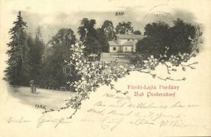 1901 Lajtapordány, Bad Prodersdorf, Leithaprodersdorf; fürdő és park / Bad und Park / spa and park. Floral