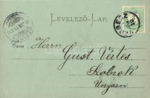 1899 (Vorläufer!), Versec, Vrsac; Rickli ház, este / Haus / villa, night