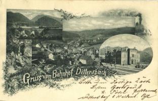 1898 (Vorläufer) Dzietrzychów (Walbrzych), Dittersbach bei Waldenburg; Gruss vom Bahnhof / railway station. Art Nouveau, floral