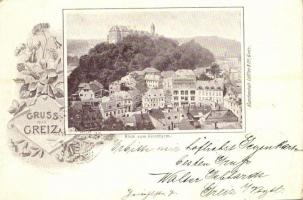 1898 Greiz, Blick vom Kirchturm, Waarenhaus heinrich Tietz. Kunstanstalt Löffler & Co. / view from church tower, shop. Art Nouveau, floral (EK)