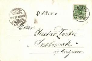 1898 Greiz, Blick vom Kirchturm, Waarenhaus heinrich Tietz. Kunstanstalt Löffler & Co. / view fr...