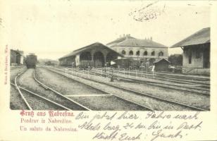 1900 Aurisina, Nabrezina, Nabresina; Stazione / Bahnhof / railway station, trains