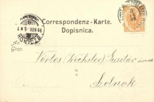 1899 Sarajevo, Landesspital in ze maljska bolniku / hospital