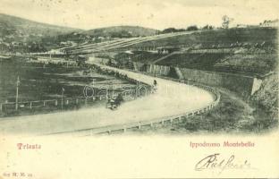 1901 Trieste, Ippodromo Montebello / horse racecourse
