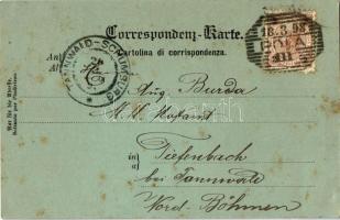 1898 SM Tb XI, osztrák-magyar haditengerészet torpedónaszádja (később olasz Francesco Rismondo) / Gr...