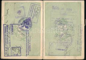 1924 Erdődy György (1843-1925) nagybirtokos fényképes útlevele osztrák, német, francia, olasz, csehs...