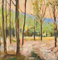 Orvos András (1939-): Börzsöny. Olaj, farost, jelzett, keretben, 60×50 cm