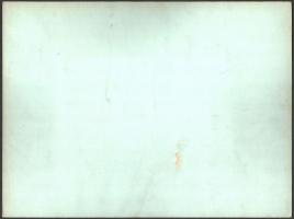 cca 1920 A Magyar Királyi Testőrség, csoportkép az Országháznál, kartonra kasírozott fotó Erdélyi mű...