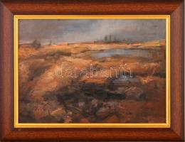 Pálnagy jelzéssel: Alföldi táj. Olaj, farost, keretben, 27×37 cm