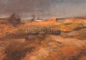 Pálnagy jelzéssel: Alföldi táj. Olaj, farost, keretben, 27×37 cm