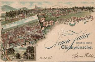 1895 Schweidnitz Litho (EK)