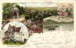 1899 Cudowa Litho (EB)