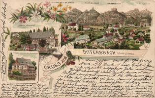 1896 Dittersbach Litho