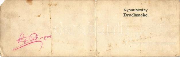 1904 Tátralomnic, Tatranská Lomnica (Tátra, Magas Tátra, Vysoké Tatry); kihajtható panorámalap nyara...