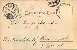 1904 Losonc, Lucenec; Prónay kastély / castle