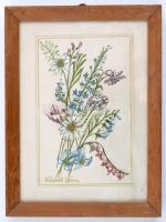 Kunál János: Mezei virágok. Akvarell, papír,jelzett, üvegezett fa keretben, 18x11 cm