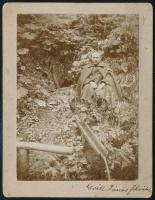 cca 1900 Tisza-forrás az Ocula-havason, keményhátú fotó, 10x13 cm