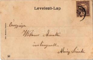 1903 Abaújszántó, Fő tér, üzlet (EK)