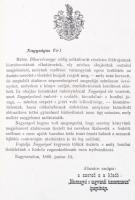 K. Nagy Sándor: Biharvármegye földrajza. Nagyvárad város leírásával és Magyar Királyság rövid átteki...