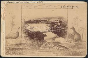 1888 Ausztrália, Brisbane St. Launceston látkép, rajzolt kerettel, keményhátú fotó, 11×17 cm