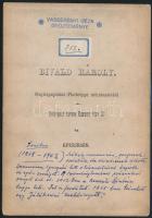 cca 1880 Feleki Miklós (1818-1902) színész portréja, nyomtatott aláírásával, Divald Károly műtermébő...