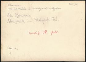 cca 1910 Bucsecs, menedékház a Malajesti-völgyben, Erdélyi Mór felvétele, hátulján feliratozva, 11,5...