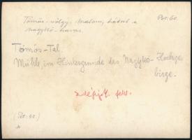 cca 1910 Malom a Tömös-völgyben, háttérben a Nagykőhavas, Erdélyi Mór felvétele, hátulján feliratozv...