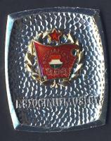 DN "Szocialista brigád" ezüstfokozatú kitüntetés, dísztokban T:1