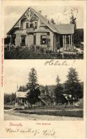1903 Borszék, Borsec; Villa Bellevue. Heiter György fényképész kiadása