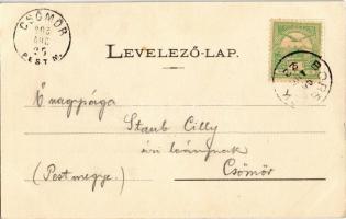 1903 Borszék, Borsec; Villa Bellevue. Heiter György fényképész kiadása