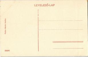 Arad, Új híd. Pichler Sándor kiadása / new bridge