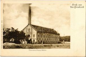 Kisbecskerek, Becicherecu Mic, Kleinbetschkerek; Terézia gőzmalom / Theresien Dampf-Mühle / steam mill