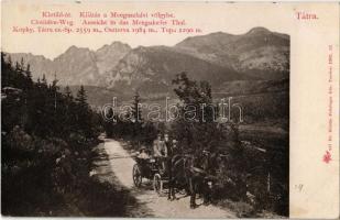 Tátra, Vysoké Tatry; Klotild út, kilátás a Menguszfalvi völgybe, lovas hintó. Feitzinger Ede 1902-12. 257 Ps. / Mengusovská dolina, road, horse chariot