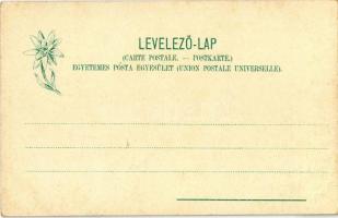 Tátra, Vysoké Tatry; Klotild út, kilátás a Menguszfalvi völgybe, lovas hintó. Feitzinger Ede 1902-12...