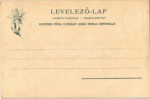 Tátra, Vysoké Tatry; Csorbai-tó mellett, Lajos forrás, határvonal Liptó és Szepes között. Feitzinger...