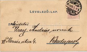 1899 Perényi Ignác cipész mester József főherceg ő cs. és kir. fensége udvari szállítója. Budapest, ...