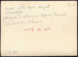 cca 1910 Brassó vidéki hegyek, Malajesti-menedékház, Erdélyi Mór felvétele, hátulján feliratozva, 11...