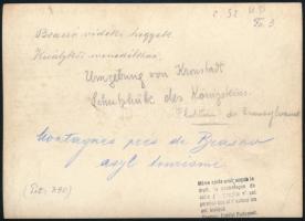 cca 1910 Brassó vidéki hegyek, Királykői menedékház, Erdélyi Mór (1866-1934) felvétele, hátulján fel...