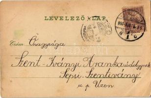 1900 Szombathely, Fő tér, Erzsébet királyné utca, Szentháromság szobor. Özv. Fekete Istvánné kiadása