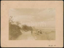 cca 1880 A Fertő-tónál, fotó, kartonra ragasztva, feliratozva, 11×15,5 cm