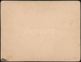 cca 1880 A Fertő-tónál, fotó, kartonra ragasztva, feliratozva, 11×15,5 cm