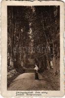 1920 Bártfa, Bártfafürdő, Bardejovské Kúpele, Bardiov, Bardejov; Erdei sétány / Waldpromenade / forest promenade