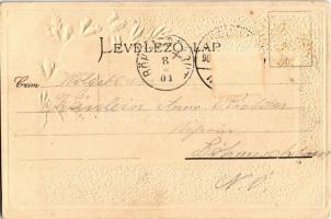 1904 Sopron, Várostorony. Címeres domronyomott litho. Passepartoutkarte Dep. 123818 R & K., Schw...