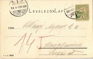 1905 Pécs, Villa telep