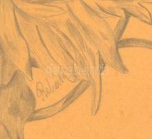 Rehák jelzéssel: Kisfiú papagájjal. Ceruza, papír, üvegezett hibás keretben, 38×28 cm