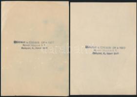 cca 1910 Óbuda, a Roessemann és Kühnemahn-Epp és Fekete Egyesült Gépgyárak Rt., 2 db cianotípia, hát...