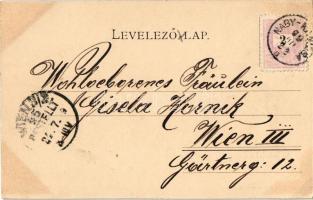 1899 Nagykanizsa, Fő utca, Irmler József, Milhofer Ödön, Singer Samu és Pollak üzlete. Schless Antal...