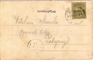 1902 Miskolc, Erzsébet tér, Kossuth szobor, gyógyszertár. Magyar zászlós litho keret  (EK)