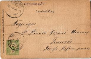 1908 Kecskemét, Városháza. Szecessziós címeres keret. Schwartz Soma kiadása / Art Nouveau litho (EB)